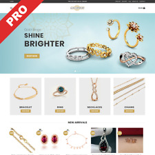 Gold Jewelry Store Turn Key Dropshipping Website Business For Sale