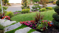 Grounds Management And Landscaping Professional Business Software