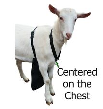 Urine Scald Amp Odor Control Olor Buck Apron For Goatssheep X Small