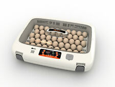 Rcom Mx50 Egg Incubator Hatcher Automatic New Us 110v Max 50