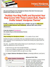 30 Super Adsense Amp Clickbank Wordpress Themes
