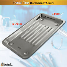Dentist Scaler Tray Mirror Probes Curettes Lab Dental Tool Autoclavable Cassette