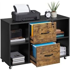 Lateral File Cabinet With 2 Drawer And 4 Open Storage Shef Large Printer Stand