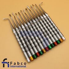 13 Pcs Luxating Dental Root Tip Extracting Elevators Instruments Surgery Inst