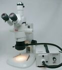 Leica Wild Microscope Mz8 Stereozoom With Tinocular Head