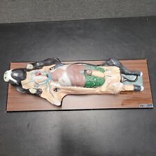 Vintage Anatomical Model Bobbitt Laboratories Pig Model Oddity 30