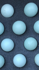 12 Tibetan Tuxed Blue Celadon Coturnix Quail Eggs Free Shipping