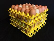 50 Egg Trays Chicken Egg Trays Incubator Egg Trays Was 30 Stackable Plastic