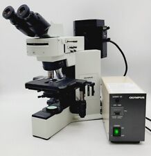Olympus Microscope Bx40 With Fluorescence 10x And 40x