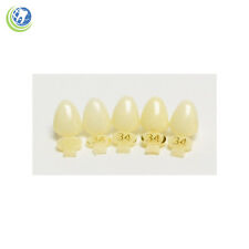 Dental Polycarbonate Temporary Crowns 34 Urc Upper Right Cuspid 5pack