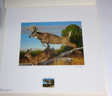 Bob Kuhn 1982 Deer Stamp Print - Stamp And Folder -flat Shipping