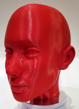 3d Printed Mannequin Head Realistic Female Beautiful Plastic Woman Dummy Head