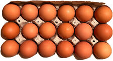 1 Dozen Heritage Rhode Island Red Chicken Hatching Eggs