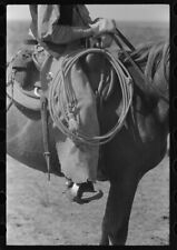 8 X 10 Photo Regalia And Equipment Of The Cowboy. Cattle Ranch Near Spur Texa