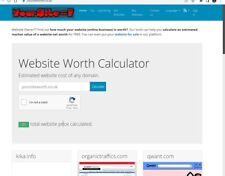 Your Site Worth - High Da Keyword Domain - Established Website For Sale