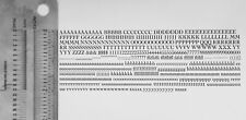 New Letterpress Type - 12 Point Cochin Roman