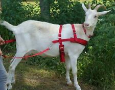 Goat Pulling Harness With Tugs Usa Made Heavy Duty Lined 5 Colors