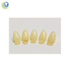 Dental Polycarbonate Temporary Crowns 200 Ull Upper Left Lateral 5pack