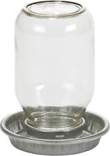 Little Giant Mason Jar Baby Chick Waterer No. Mj9826 By Miller Mfg Co