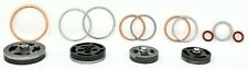 Z102 Champion Complete Valve Kit With Gaskets For R15 Pump 22nn77 R15a R15