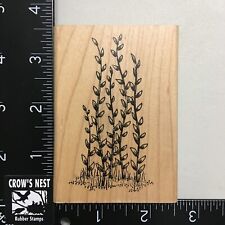 G-rated Plant Wood Mounted Rubber Stamp Used