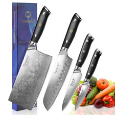 4pcs Kitchen Cooking Knife Set Damascus Steel Blade Chefs Chopper Meat Slicing