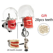Dental Simulator Nissin Manikin Phantom Head Model With 28pcs Replaceable Teeth