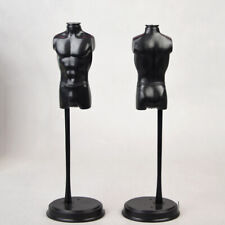 16 Male Torso Body Dress Form Mannequin Clothing Retail Display Rack Bust Craft