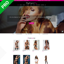 Professional Lingerie Dropshipping Store Dropship Turnkey Business Website