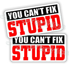 You Cant Fix Stupid Funny Hard Hat Stickers Welding Helmet Toolbox Decals Usa