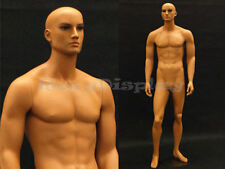 Tan Skin Young Male Mannequin Dress Form Display Md-ham25