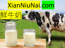 Xianniunai.com Premium Domain Name Fresh Milk Fresh Cow Milk 