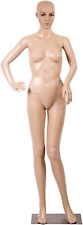Manikin Dress Form Female Mannequin Torso Nude