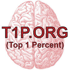 T1p.org Premium Domain For Sale Top 1 Percent 3 Letter