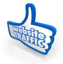 Unlimited Real Visitors To Your Website For 1 Month. Increase Your Traffic Flow