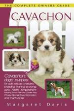 Cavachon The Complete Owners Guide Cavachon Dogs Puppies For Sale R - Good