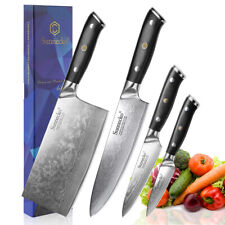 Kitchen Knife Set Damascus Steel Chefs Meat Cutlery Fruit Paring Salmon Blade