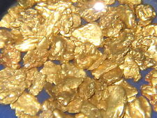 Gold Pay Dirt Concentrates Nuggets Flakes Flower Placer Mining Claim Panning