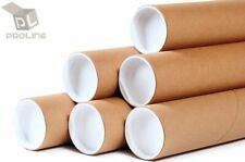 Premium Kraft Mailing Shipping Poster Tubes With Plastic End Caps 2 X 36