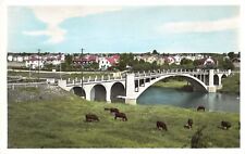 Vintage Rppc Postcard Arboga Vasterbron Bridge Sweden Cows Green Colored Photo