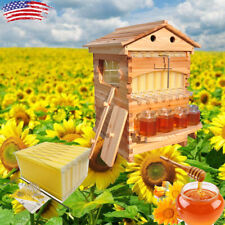 7 Free Flowing Honey Hive Beehive Frames Cedarwood Beekeeping Brood Boxes Us