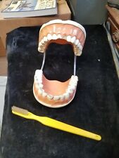 Unbranded Large Plastic Teeth And Gums Poseable Dentures Toothbrush