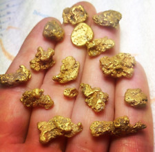 Gold Panning Paydirt With Guaranteed Added Gold 100 Unsearched Arizona Pay Dirt