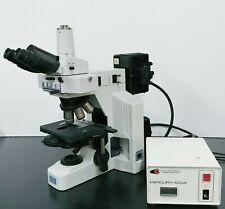 Nikon Microscope Eclipse E600 W Fluorescence And Fluorite Objectives Pathology