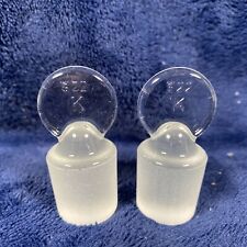 Solid Glass Stopper Lab Plug Lab Chemistry Glassware 2pcslot Size Ts 22 K