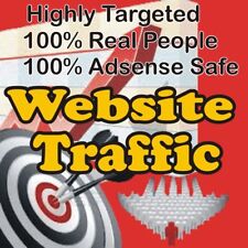 5000 Real Visitors Highly Targeted Website Traffic 100 Adsense Safe