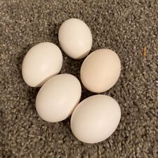 6 Serama Bantam Chicken Hatching Eggs. Fresh And Fertile. Please Read.