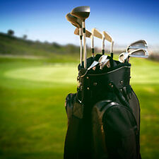 Premium Domain Name For Golf Rental Club Business...top Keywords In Google
