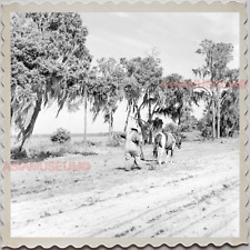 40s Florida Horse Drawn Plow Farming Man Farm Woods Old Vintage Photograph S8228