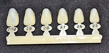 10 Upper Left Lateral Tooth - Dental Polycarbonate Temporary Crowns 6 Sizes